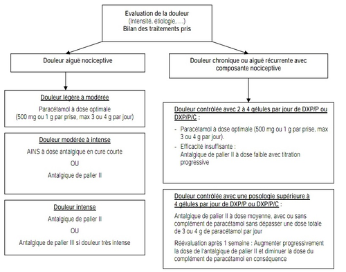 Cancers l’insuffisante prise en charge de la douleur